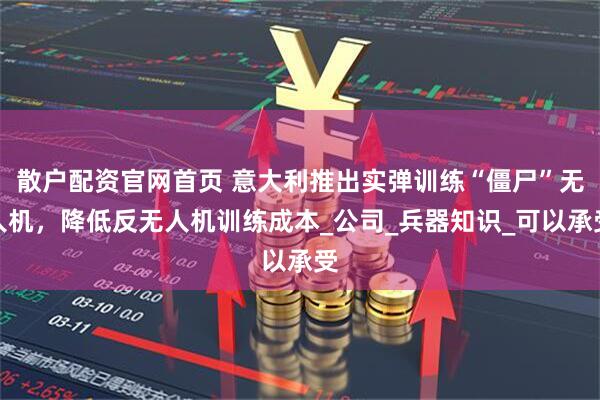 散户配资官网首页 意大利推出实弹训练“僵尸”无人机，降低反无人机训练成本_公司_兵器知识_可以承受