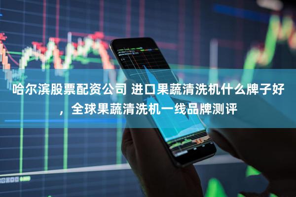 哈尔滨股票配资公司 进口果蔬清洗机什么牌子好，全球果蔬清洗机一线品牌测评