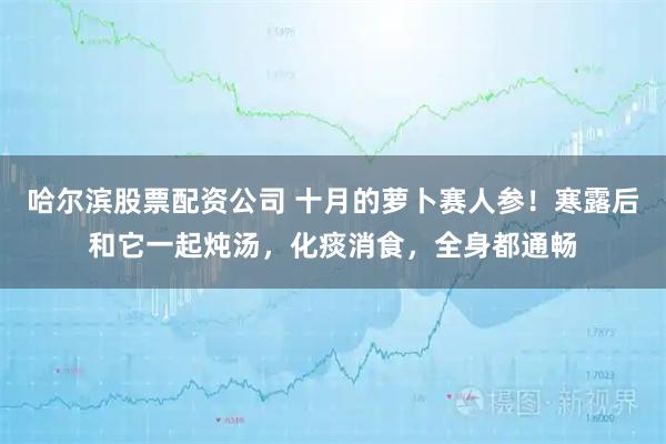 哈尔滨股票配资公司 十月的萝卜赛人参！寒露后和它一起炖汤，化痰消食，全身都通畅
