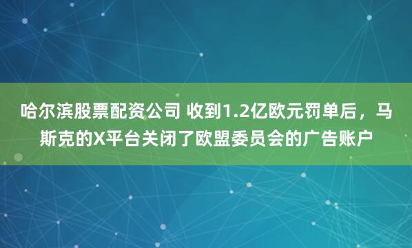 哈尔滨股票配资公司 收到1.2亿欧元罚单后，马斯克的X平台关闭了欧盟委员会的广告账户