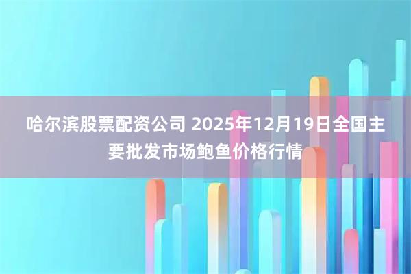 哈尔滨股票配资公司 2025年12月19日全国主要批发市场鲍鱼价格行情